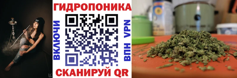 hydra ссылки  Орёл  Канабис индика 